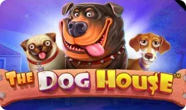 Cleobetra – The Dog House
